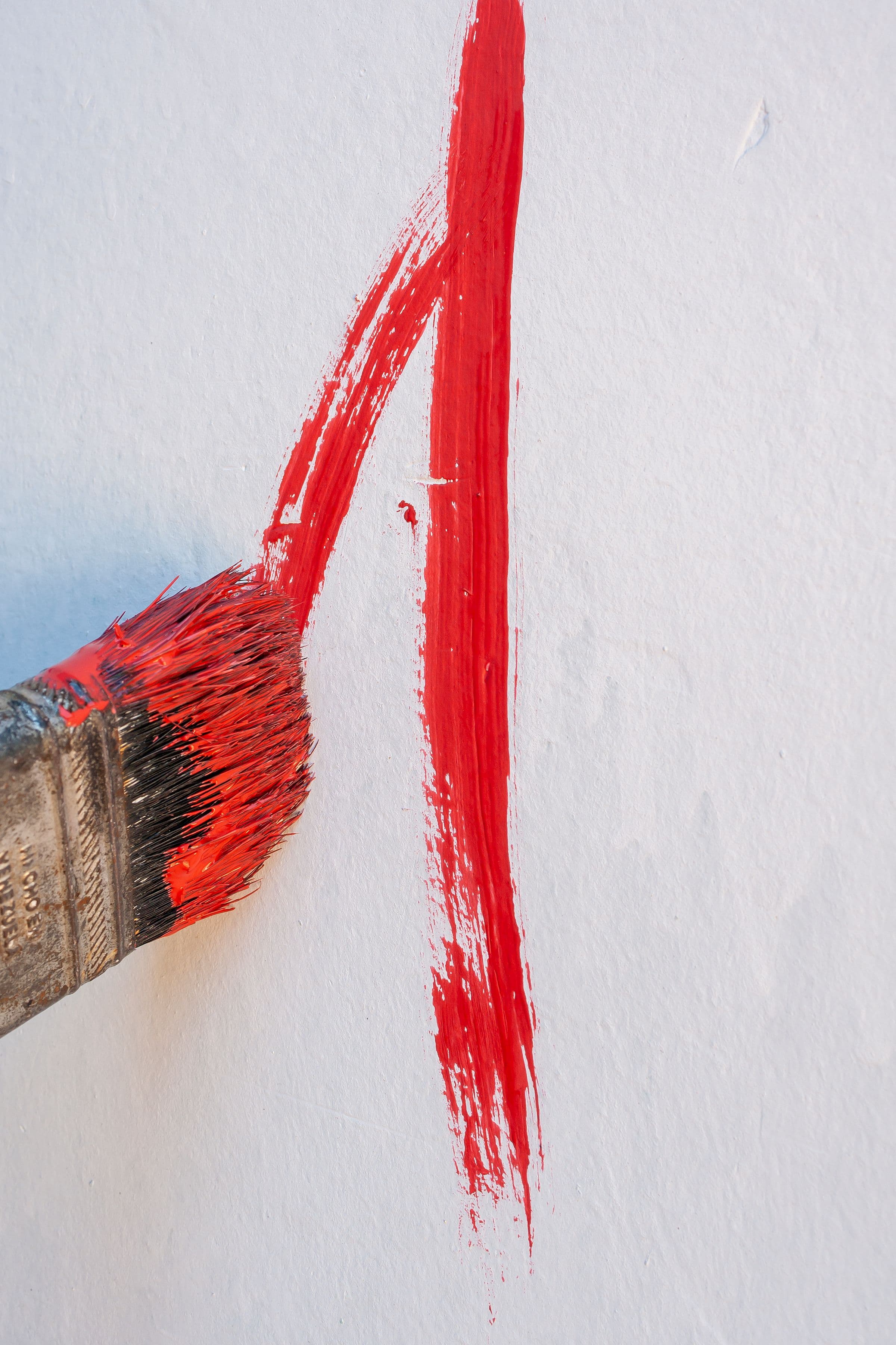 Close-up of a paint brush leaving a fresh stroke of color